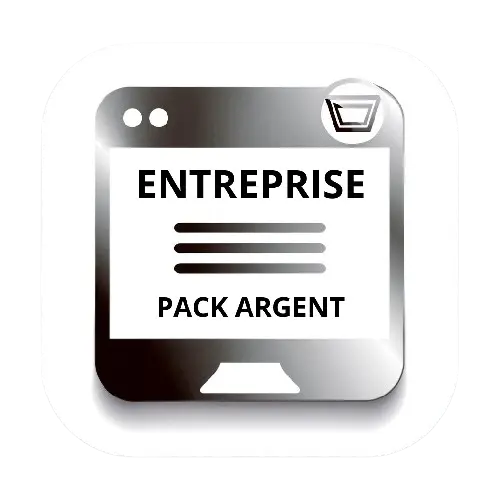 Pack Argent Entreprise DT Media Agence Développement Web