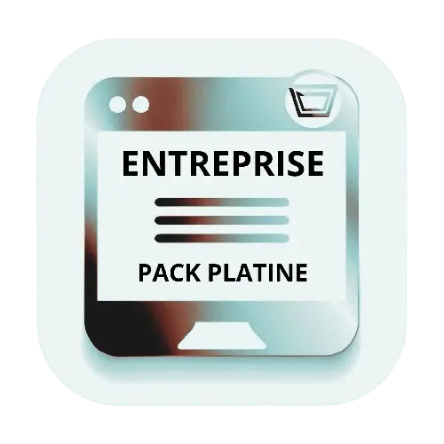Pack Platine Entreprise DT Media Agence Développement Web